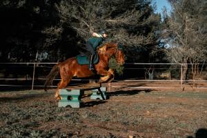 Emilie PICCA - LA PHOTOGRAPHE DU SUD