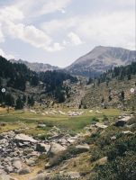 César TRESCA - 213 MEDIA